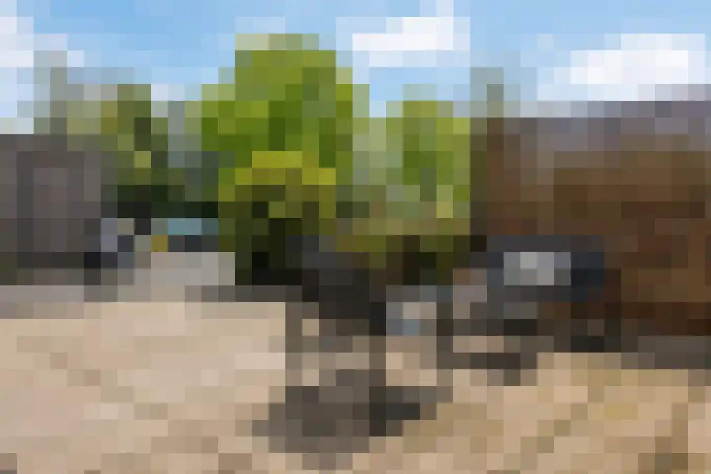 Amendijk 29 Hooglanderveen thumbnail 22