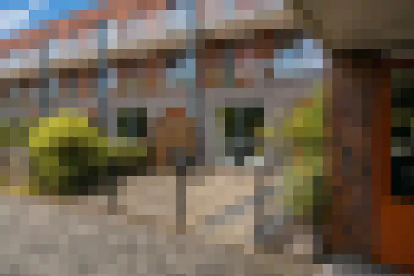 Amendijk 29 Hooglanderveen thumbnail 25