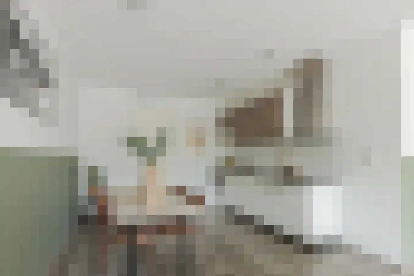 Amendijk 29 Hooglanderveen thumbnail 6