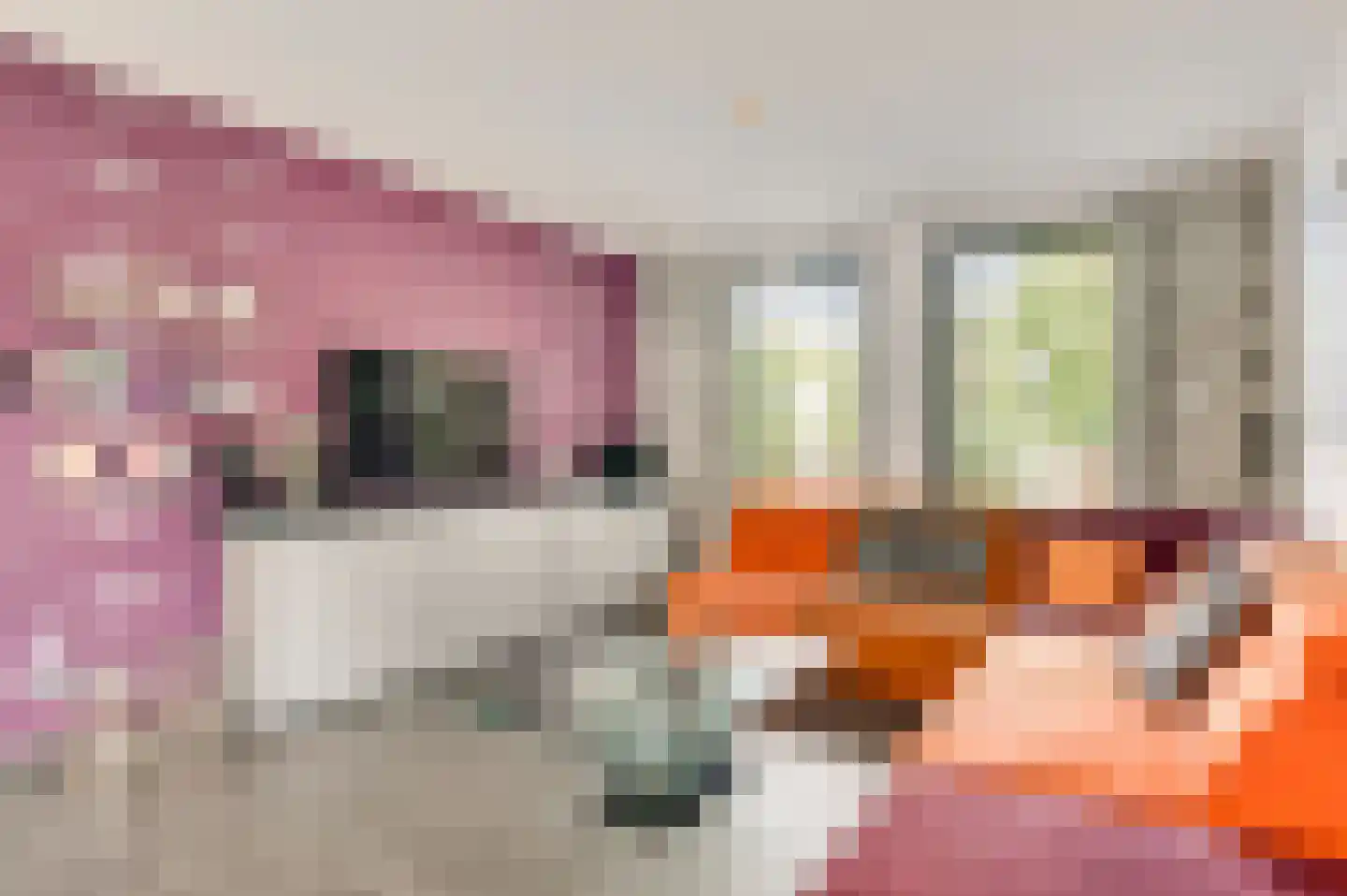 Amentstraat 11 Stramproy thumbnail 20