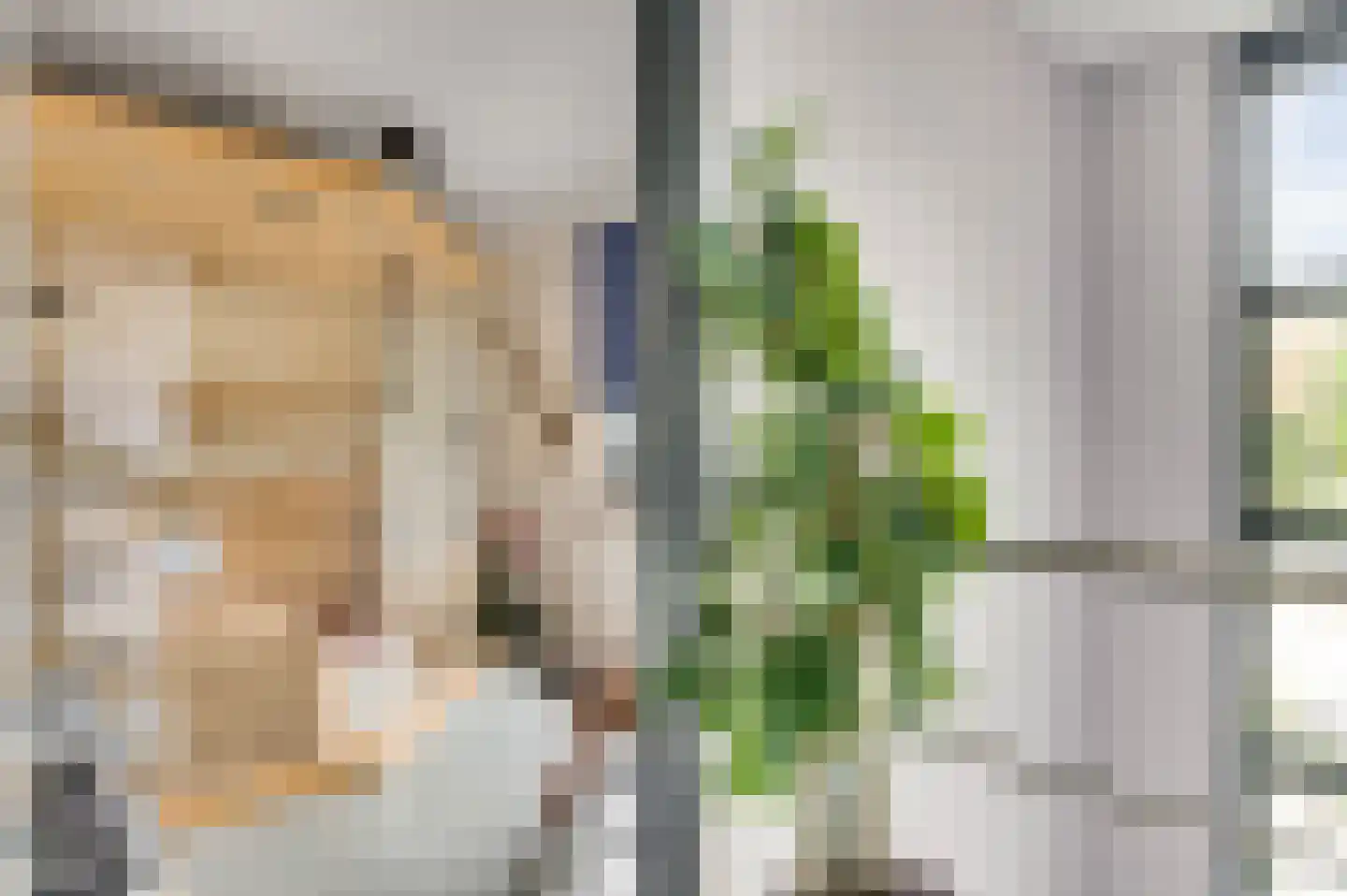 Amentstraat 11 Stramproy thumbnail 38