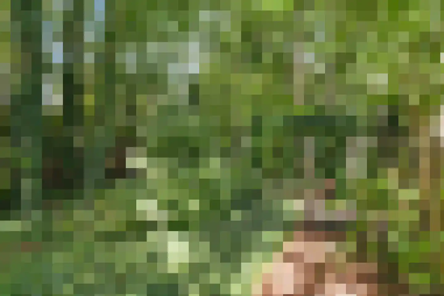 Amentstraat 11 Stramproy thumbnail 51