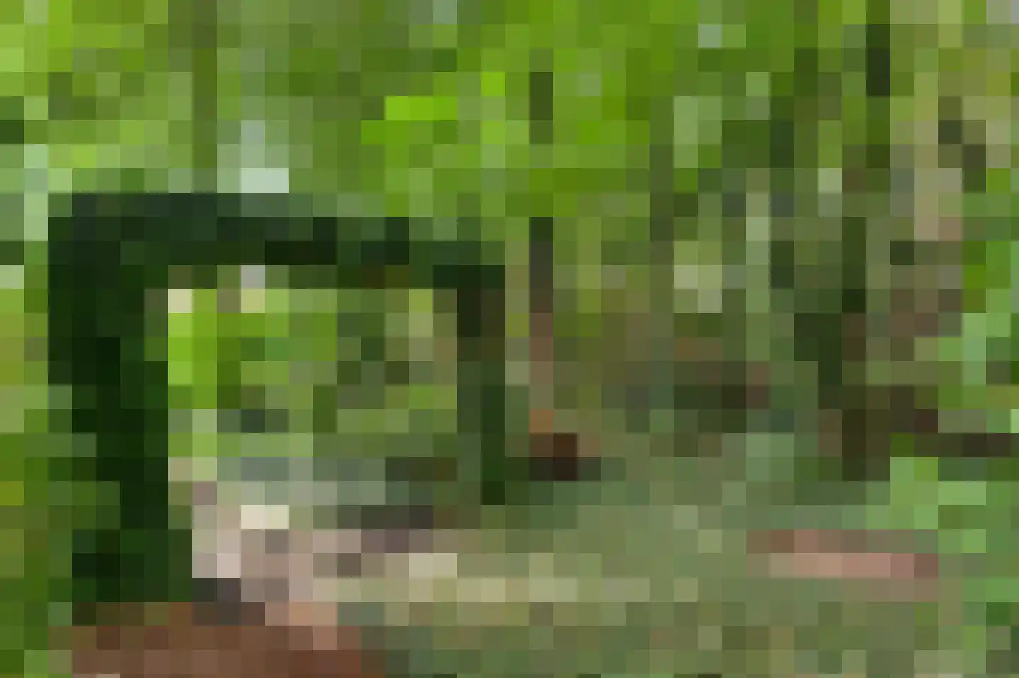 Amentstraat 11 Stramproy thumbnail 52