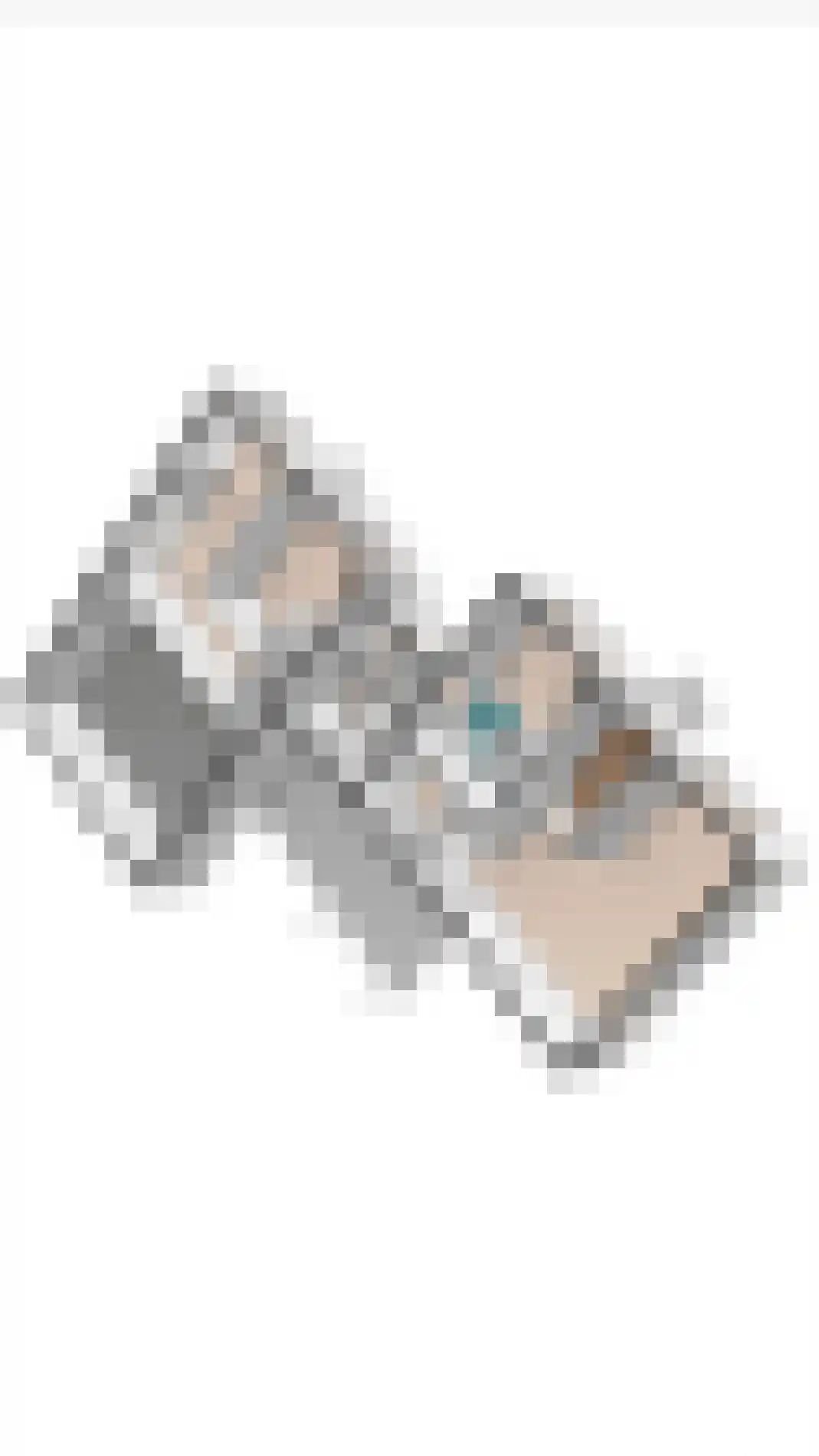 Amentstraat 11 Stramproy thumbnail 54