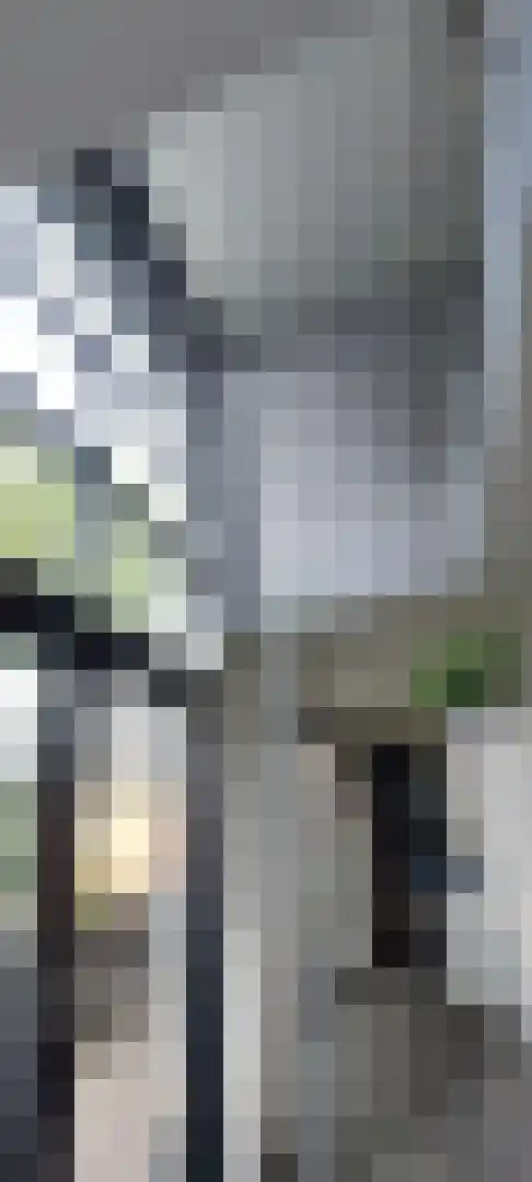 Amentstraat 11 Stramproy thumbnail 6