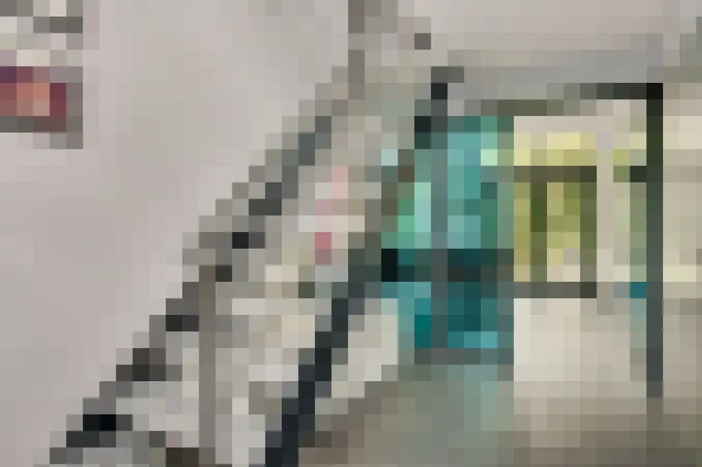 Amentstraat 11 Stramproy thumbnail 7