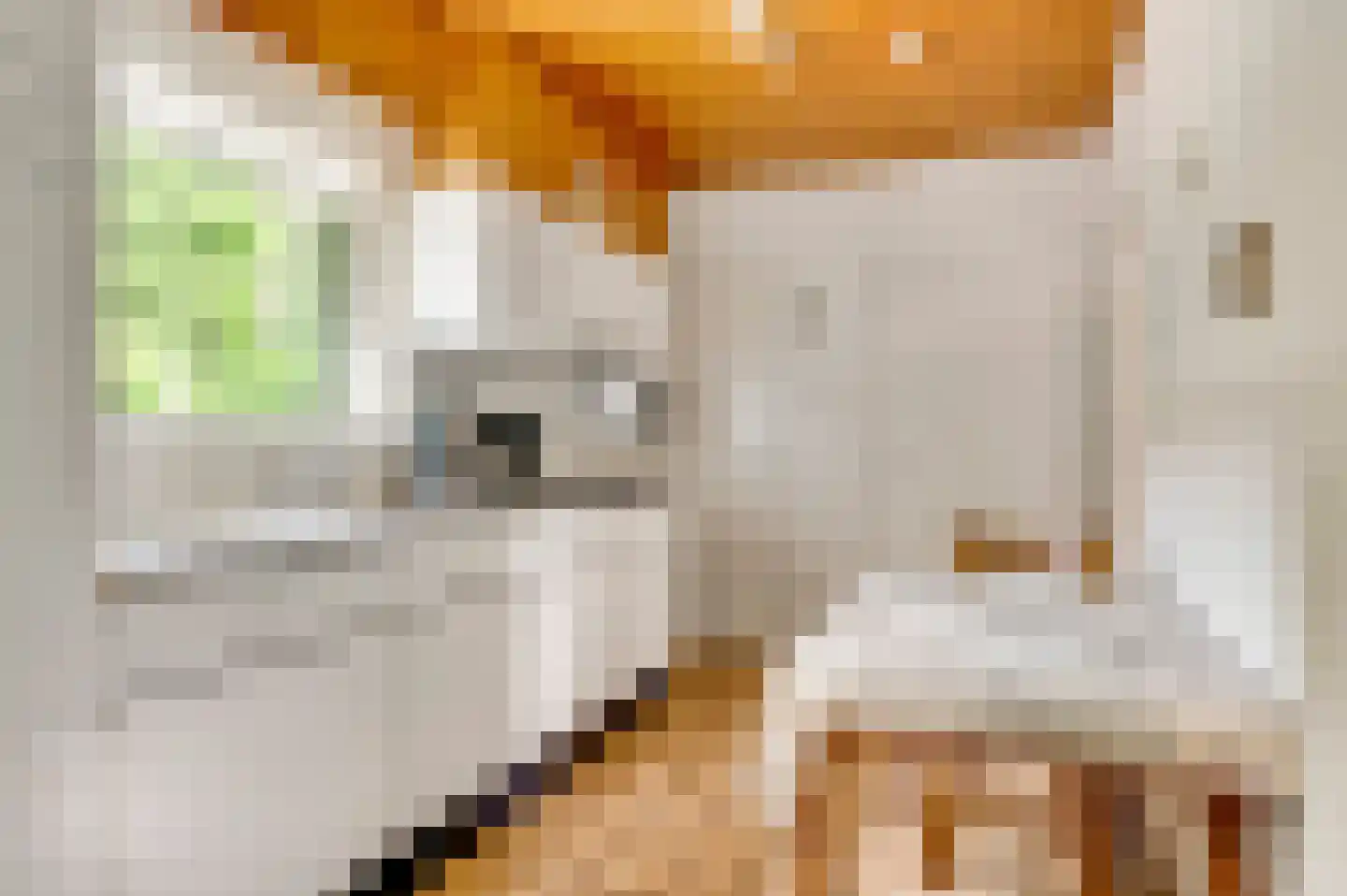 Amentstraat 19 Stramproy thumbnail 13