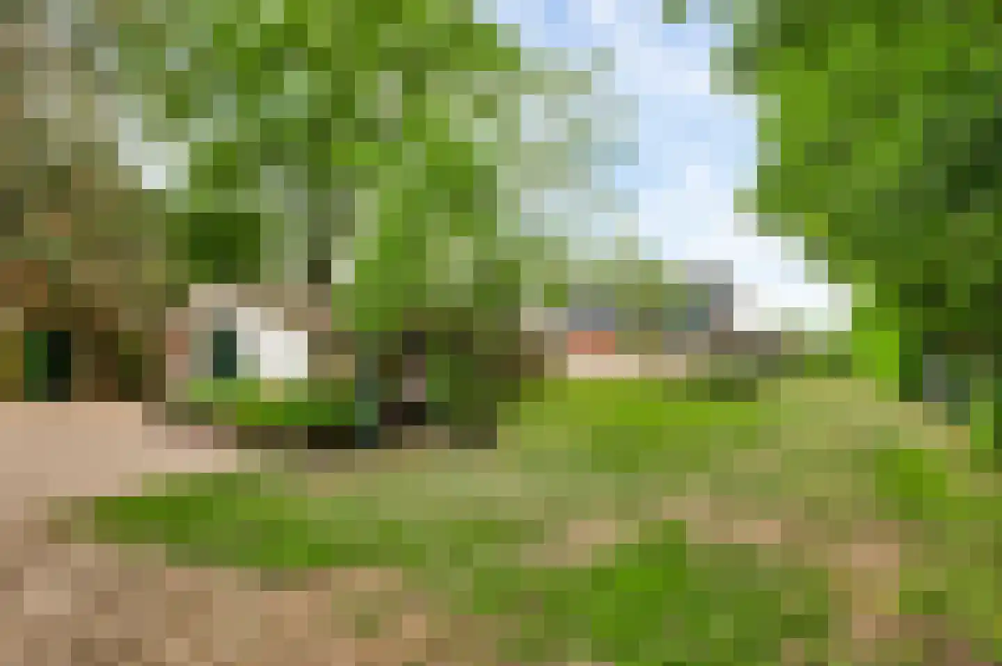 Amentstraat 19 Stramproy thumbnail 34