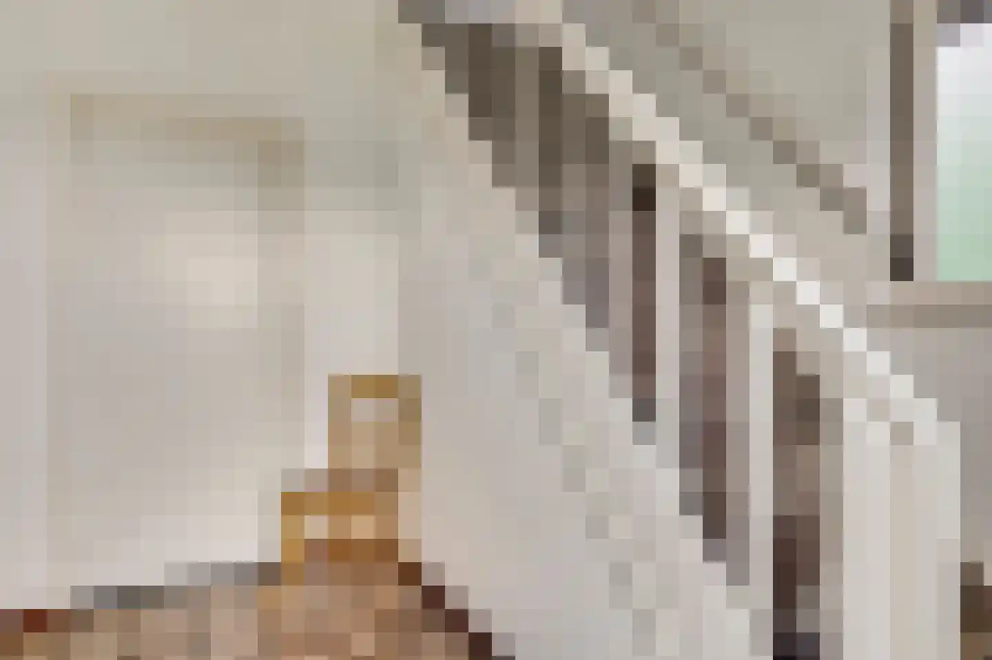 Amentstraat 19 Stramproy thumbnail 6