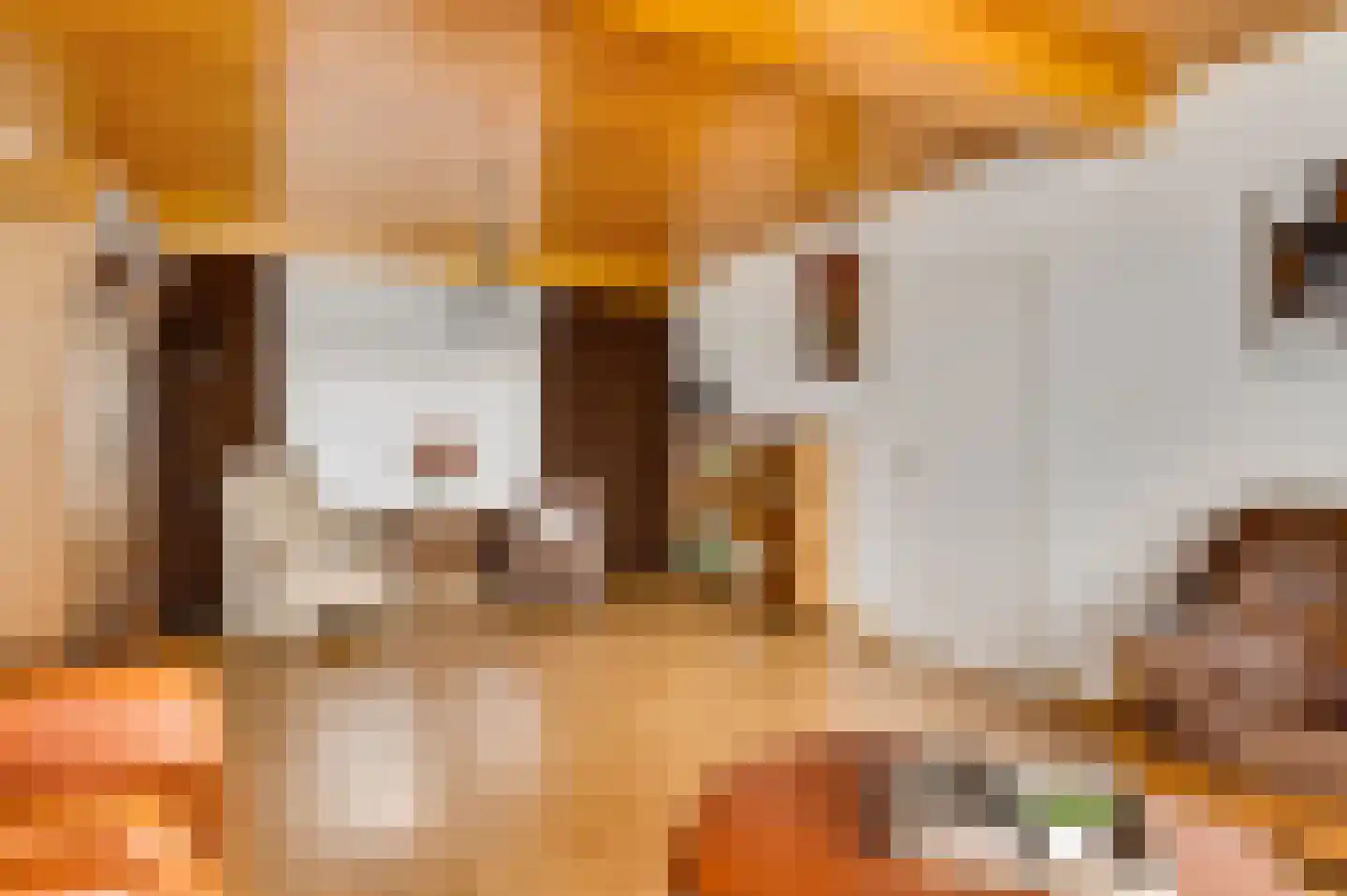 Amentstraat 19 Stramproy thumbnail 9