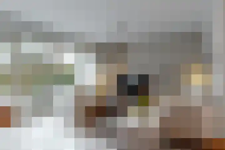 Amer 10 Heerhugowaard thumbnail 10
