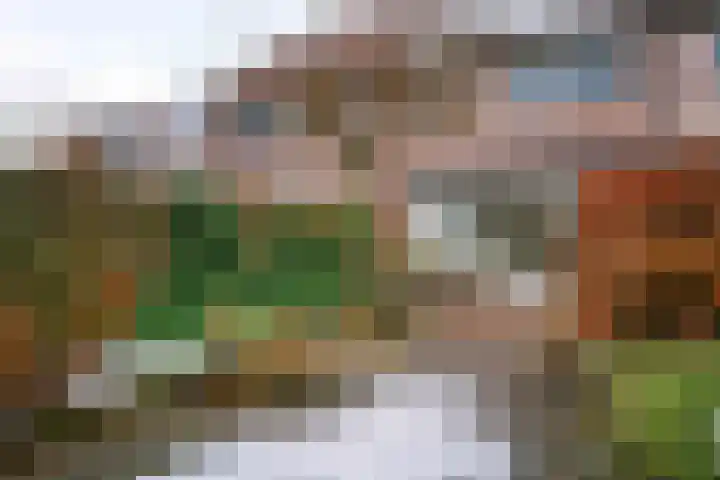 Amer 10 Heerhugowaard thumbnail 27