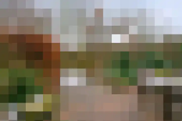 Amer 10 Heerhugowaard thumbnail 28