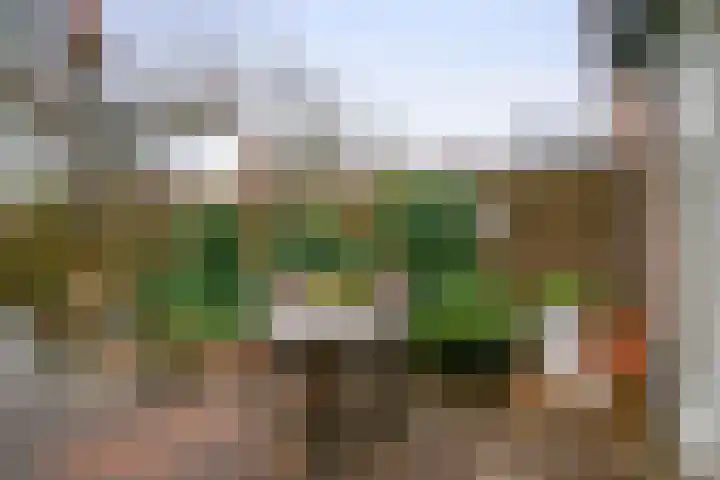 Amer 10 Heerhugowaard thumbnail 29