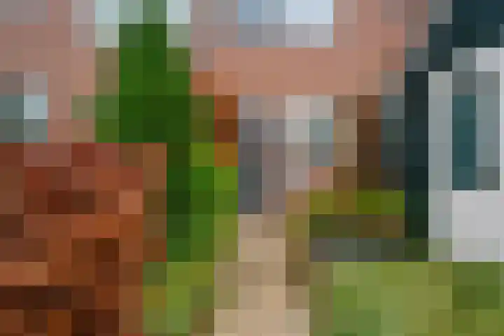 Amer 10 Heerhugowaard thumbnail 30