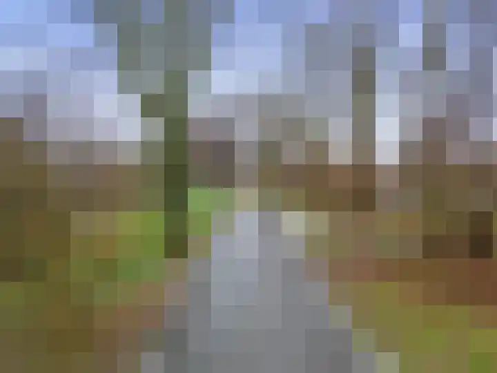 Amer 10 Heerhugowaard thumbnail 31