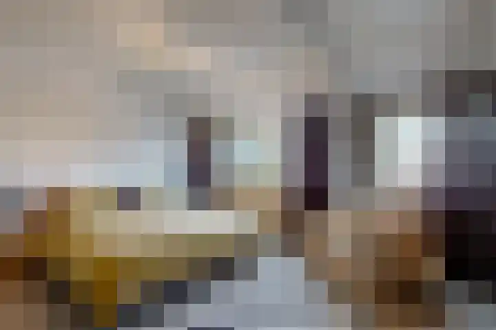 Amer 10 Heerhugowaard thumbnail 4