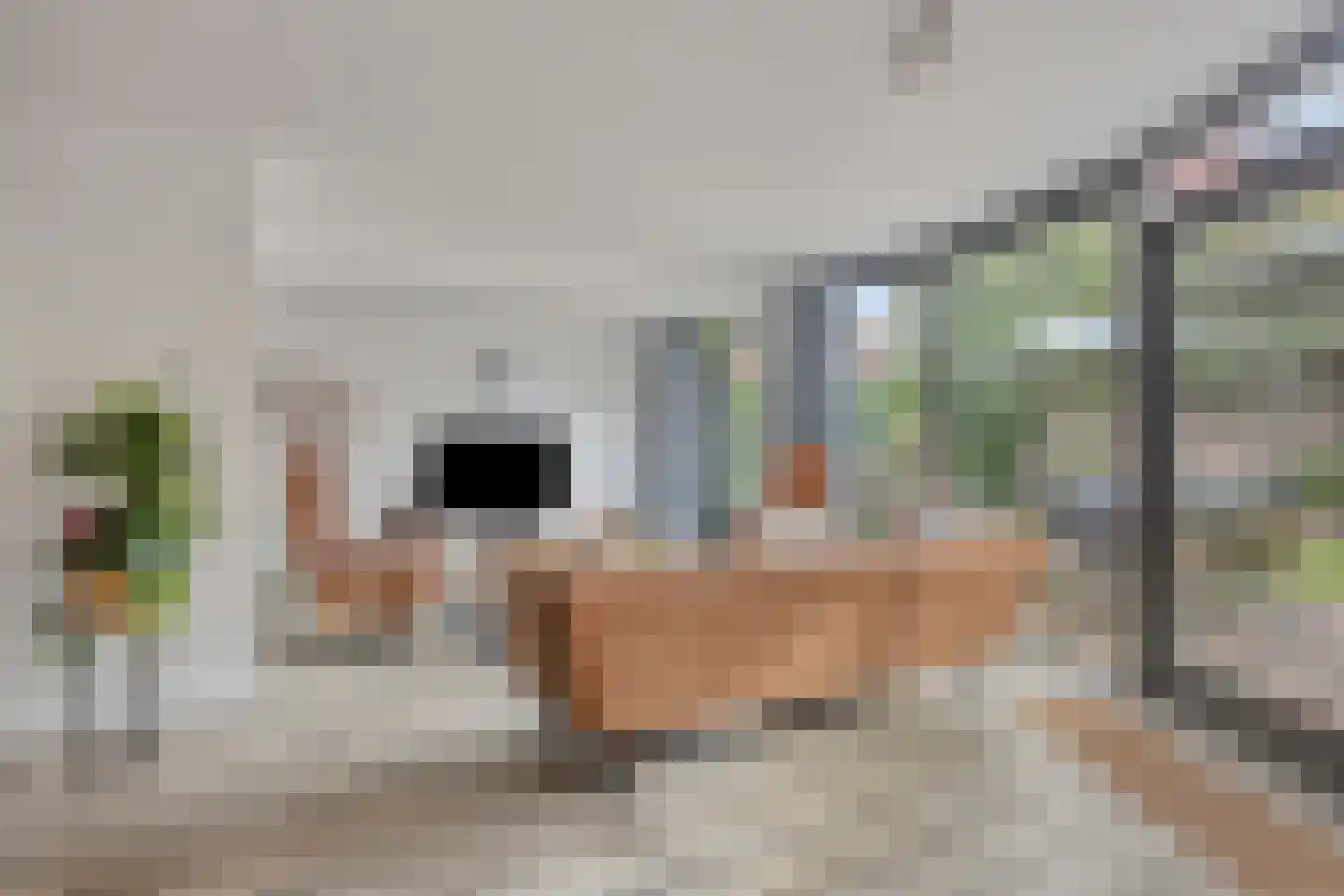 Amer 11 Veldhoven thumbnail 13