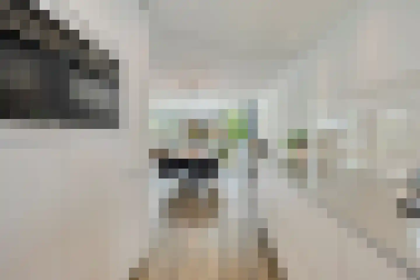 Amer 11 Veldhoven thumbnail 18