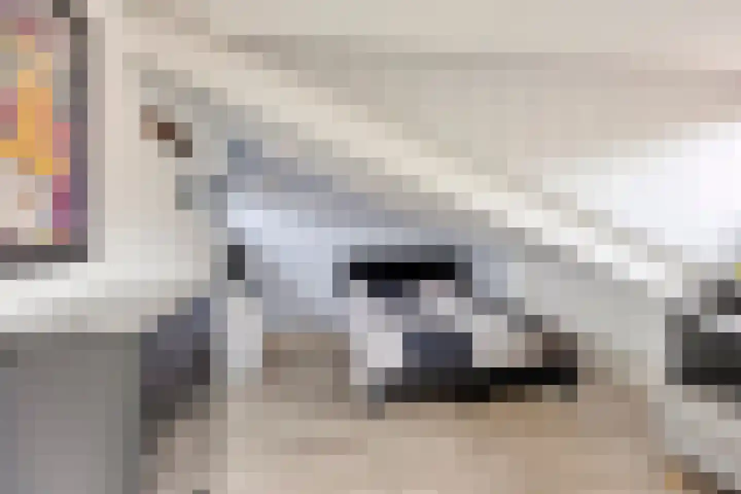 Amer 11 Veldhoven thumbnail 34