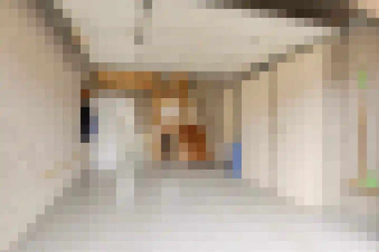 Amer 111 Someren thumbnail 17