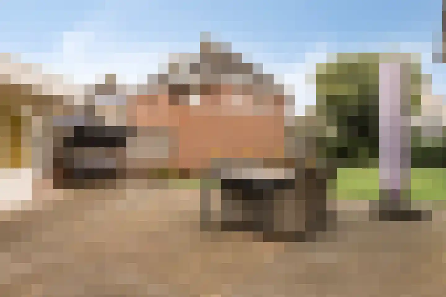 Amer 111 Someren thumbnail 41