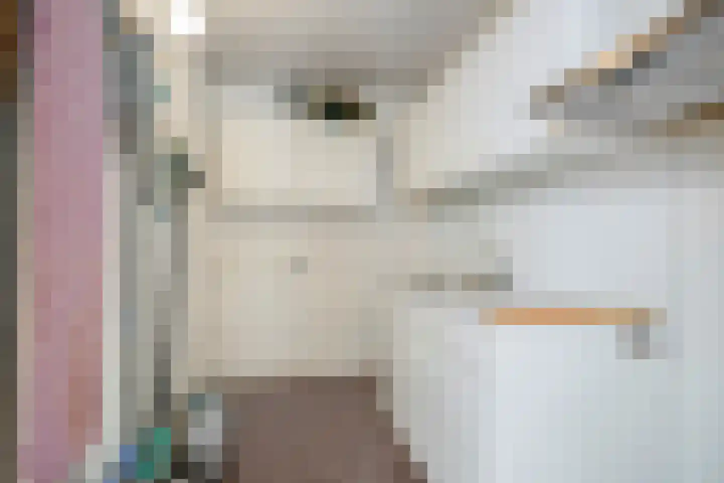 Amer 18 Someren thumbnail 13