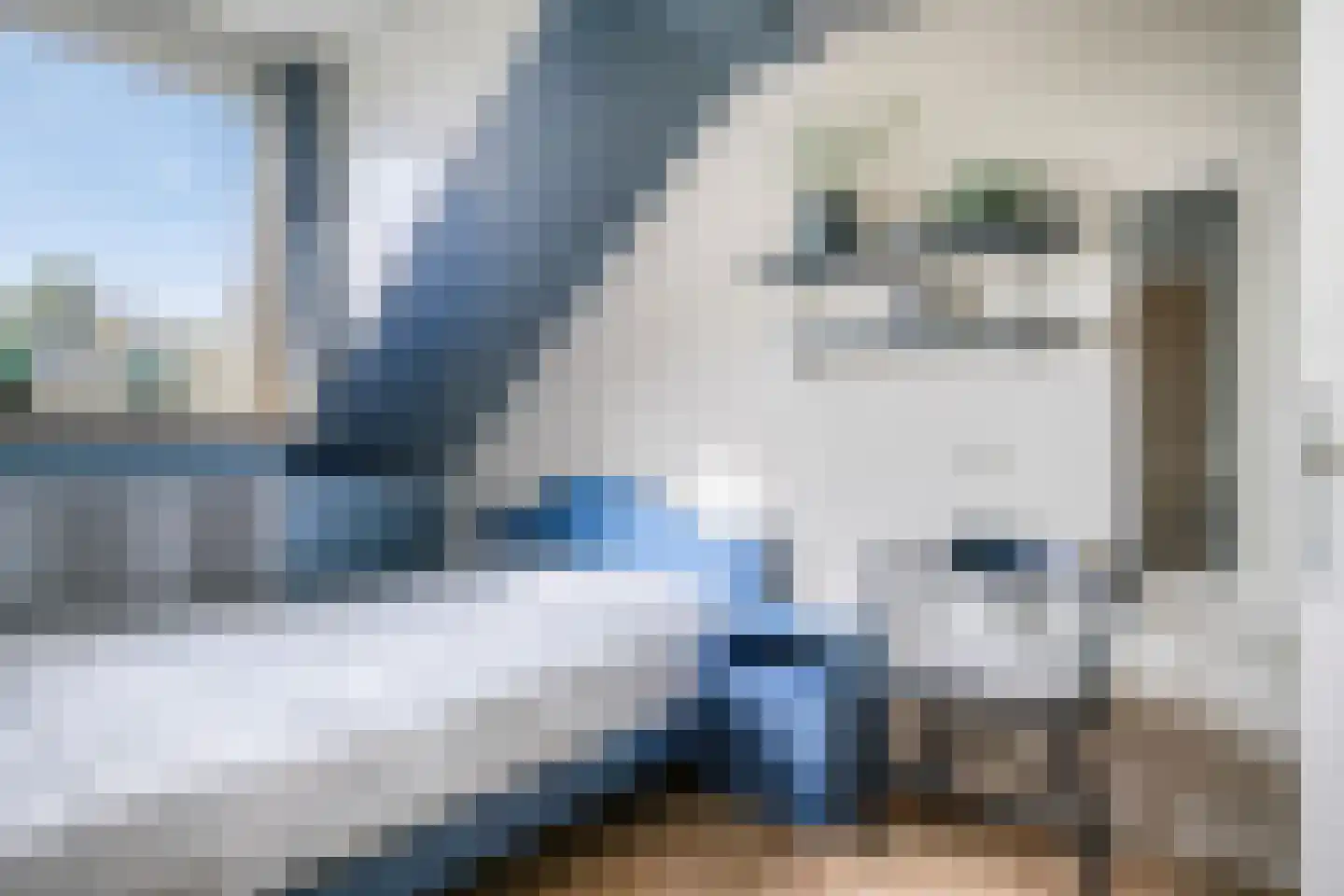 Amer 18 Someren thumbnail 20