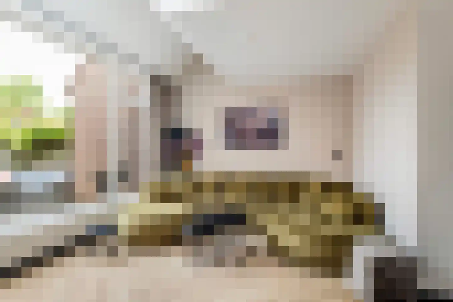Amer 19 Rotterdam thumbnail 13