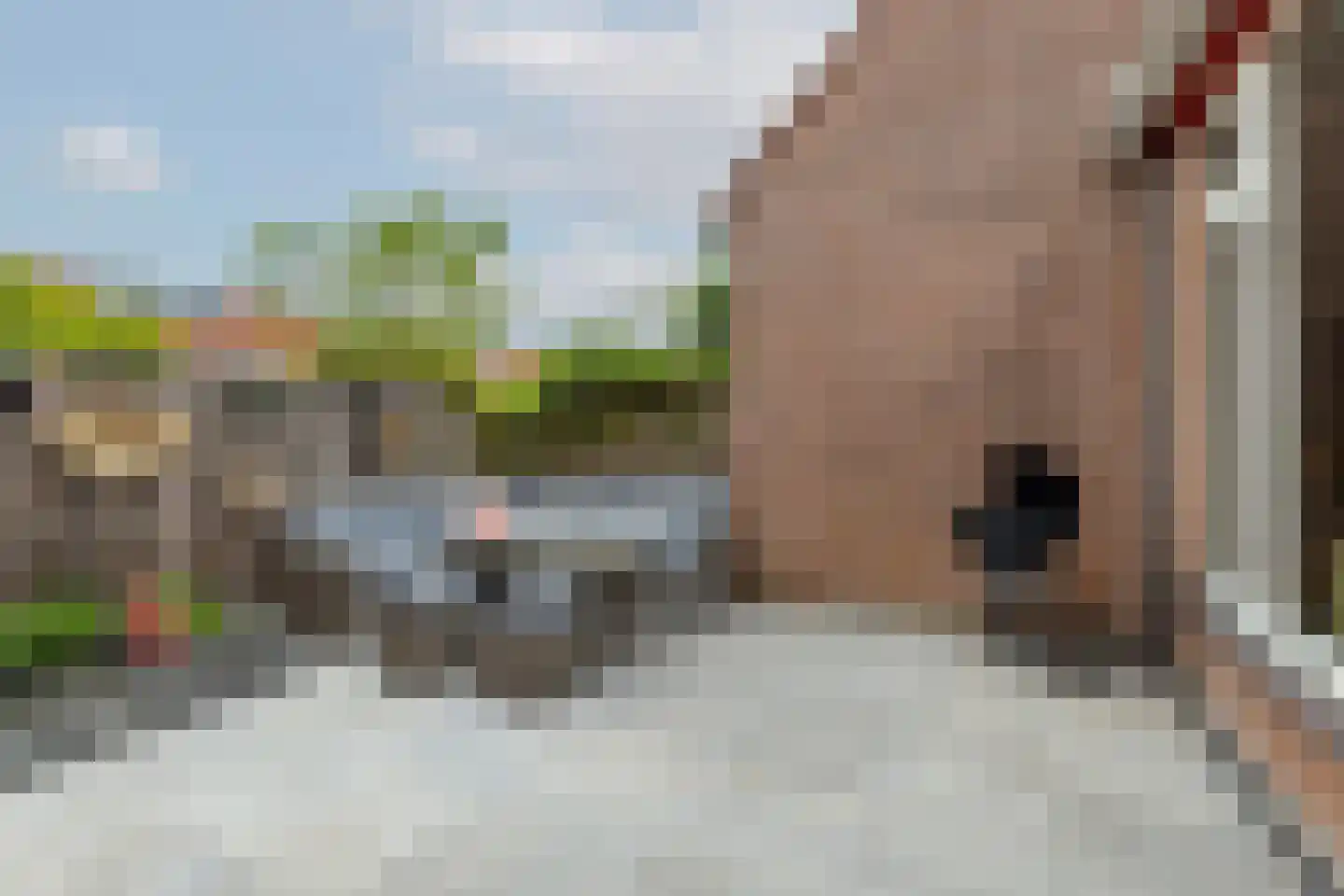 Amer 19 Rotterdam thumbnail 36