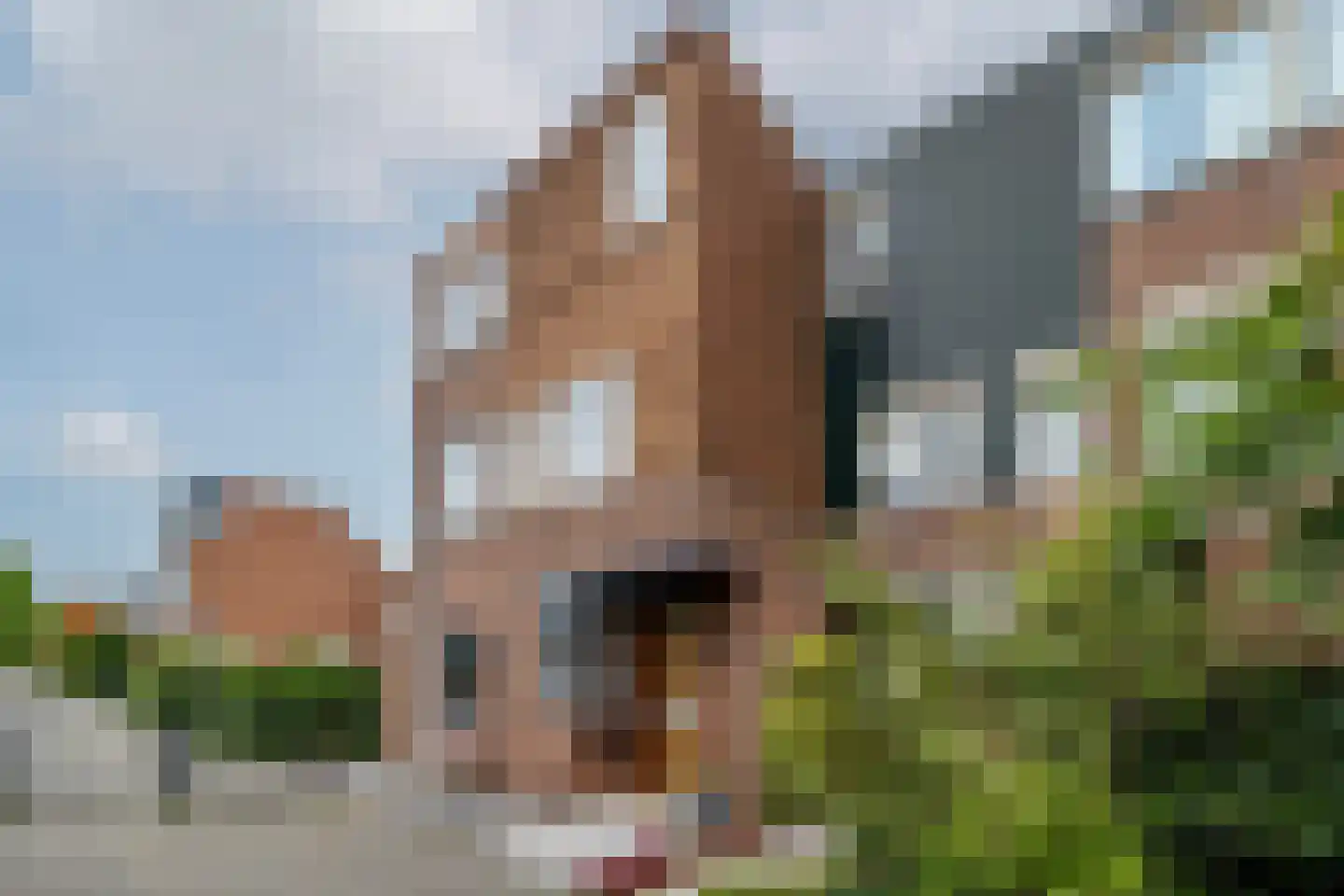 Amer 19 Rotterdam thumbnail 7