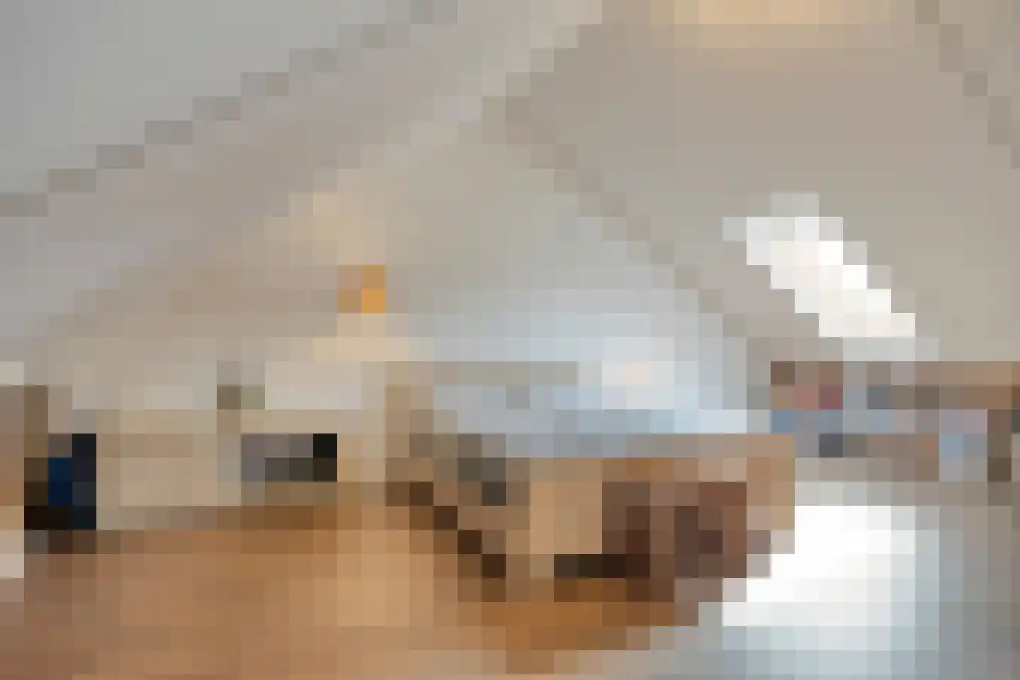 Amer 22 Veldhoven thumbnail 21