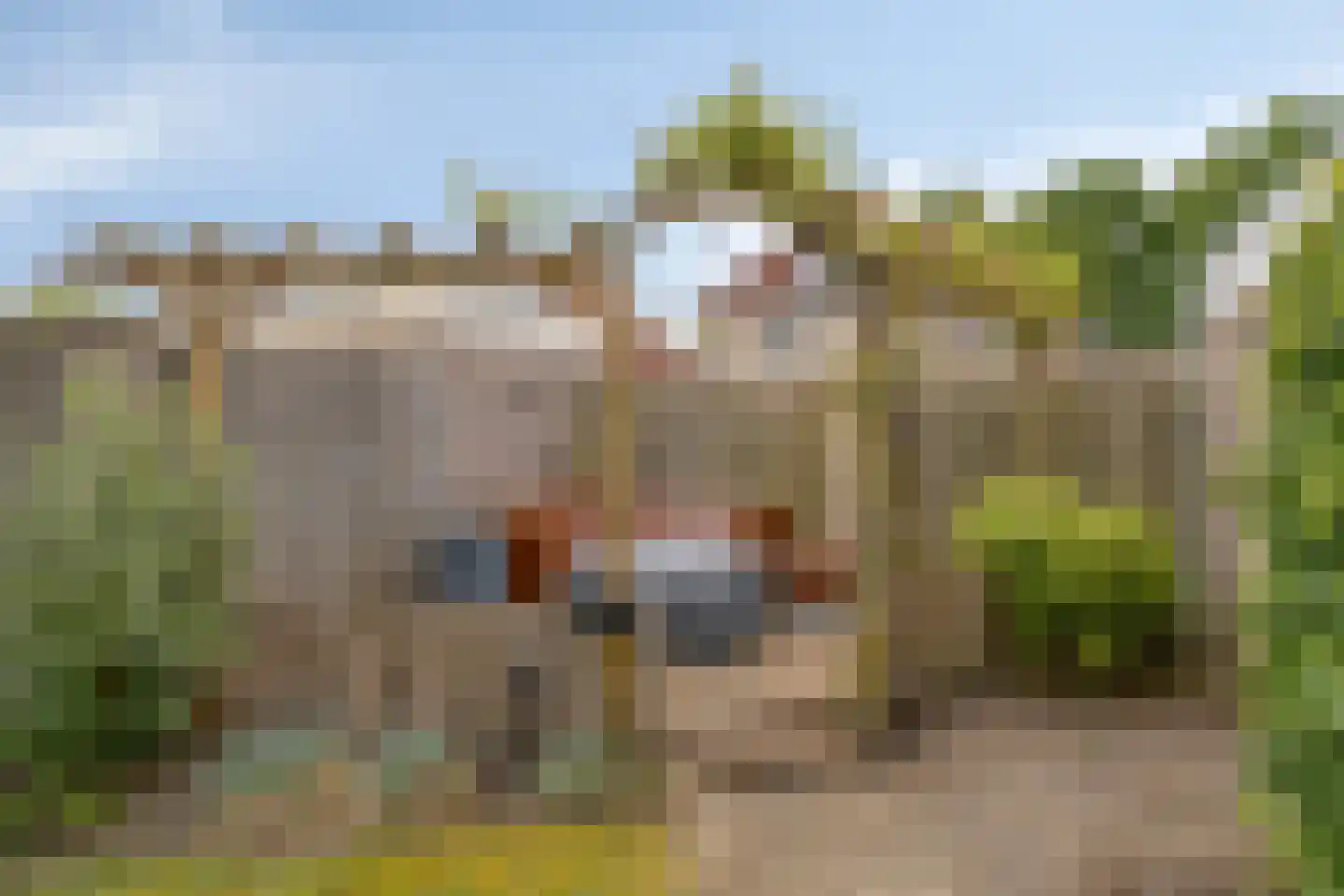 Amer 22 Veldhoven thumbnail 23