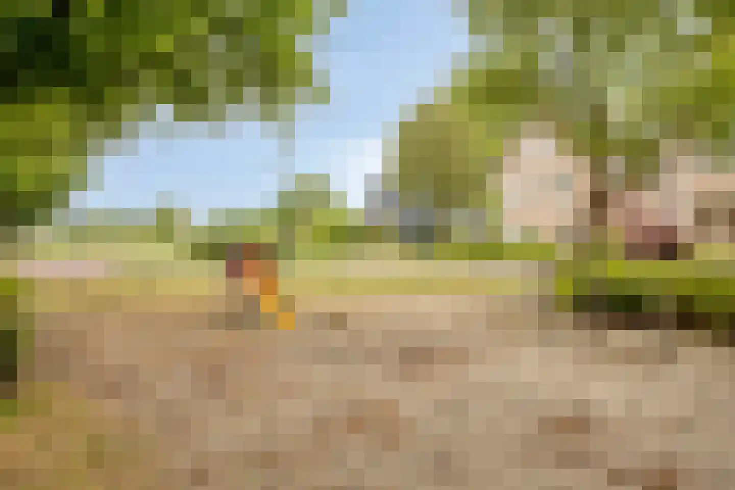 Amer 22 Veldhoven thumbnail 30