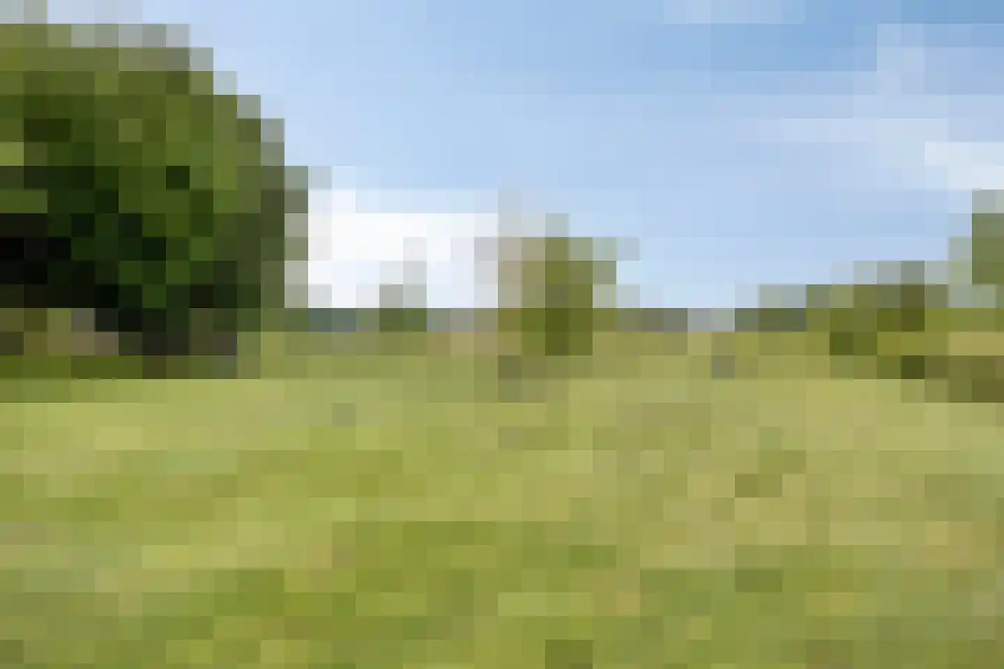 Amer 22 Veldhoven thumbnail 31