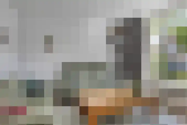 Amer 25 Kaatsheuvel thumbnail 10