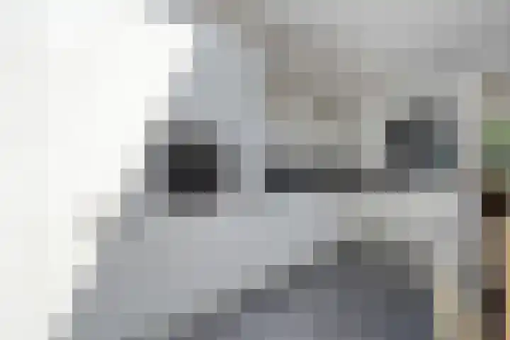 Amer 25 Kaatsheuvel thumbnail 13