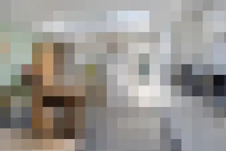 Amer 25 Kaatsheuvel thumbnail 14