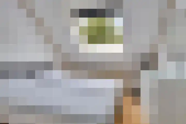 Amer 25 Kaatsheuvel thumbnail 22