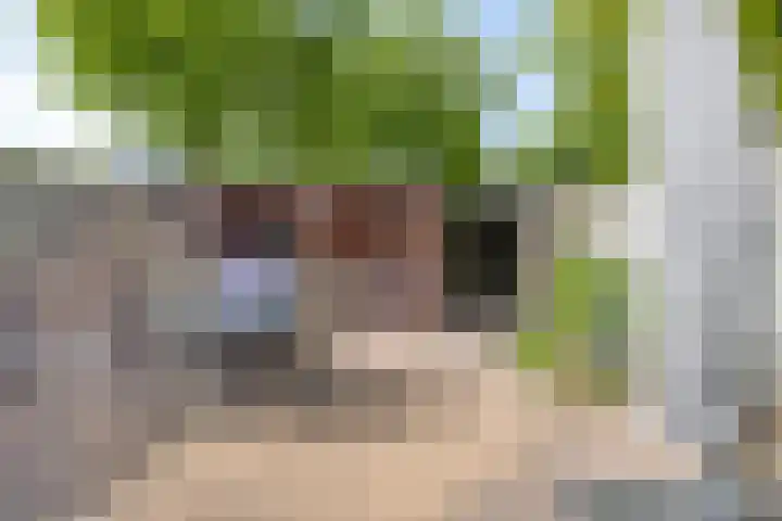 Amer 25 Kaatsheuvel thumbnail 25