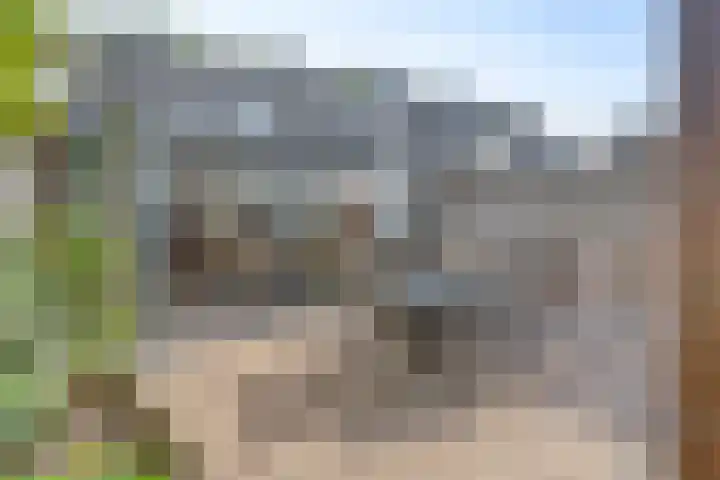 Amer 25 Kaatsheuvel thumbnail 26