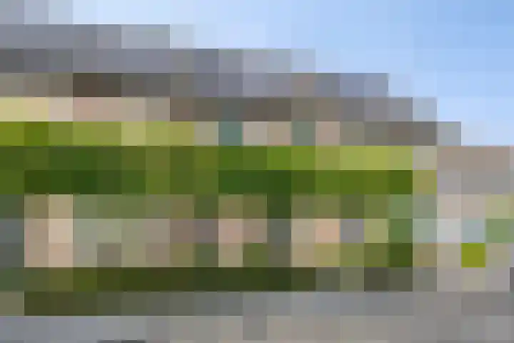 Amer 25 Kaatsheuvel thumbnail 30