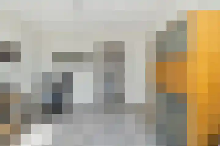 Amer 48 Veldhoven thumbnail 19