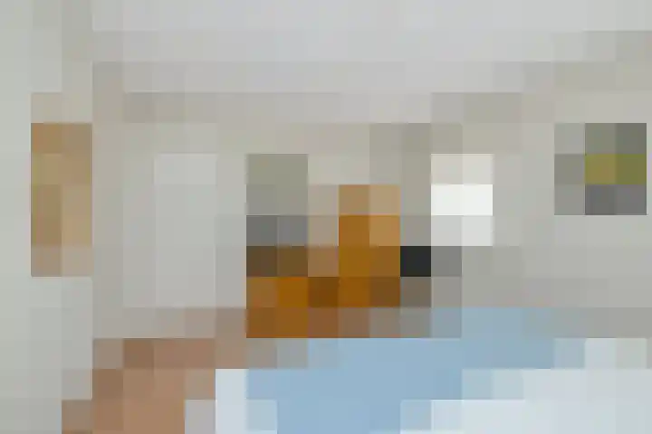 Amer 48 Veldhoven thumbnail 38