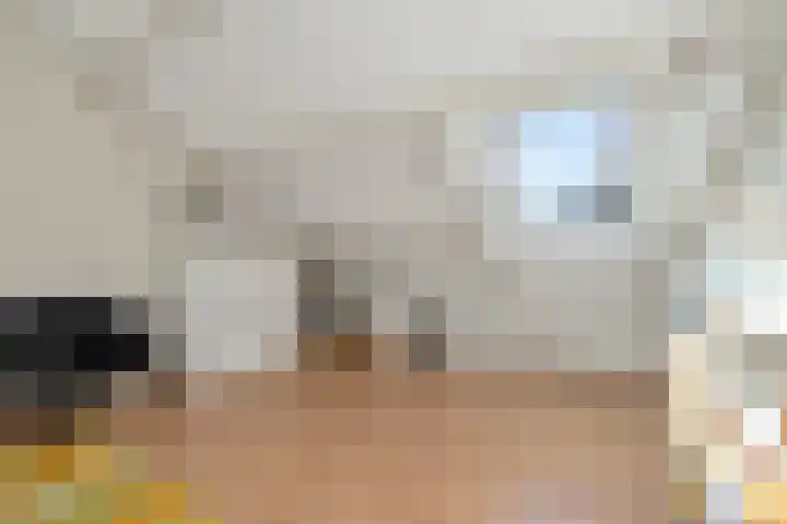Amer 48 Veldhoven thumbnail 42