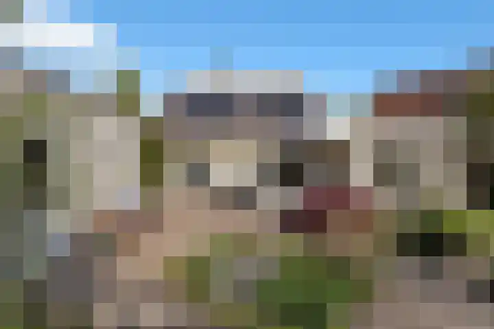Amer 48 Veldhoven thumbnail 46