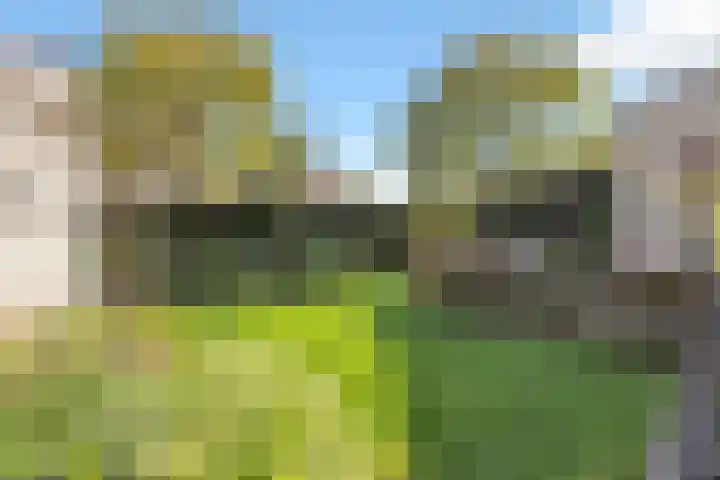 Amer 48 Veldhoven thumbnail 52