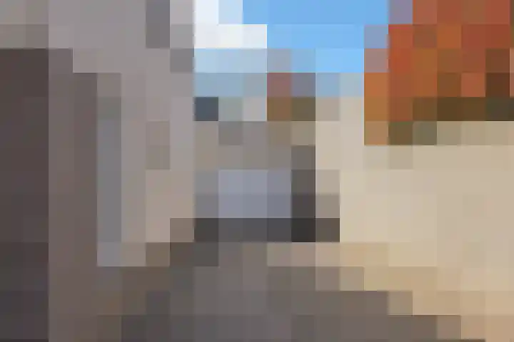 Amer 48 Veldhoven thumbnail 55