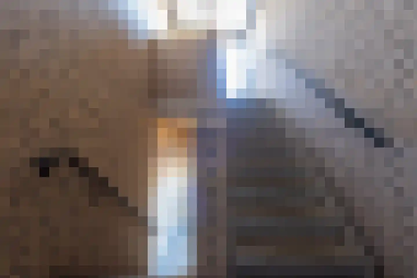 Amer 5 Helmond thumbnail 6