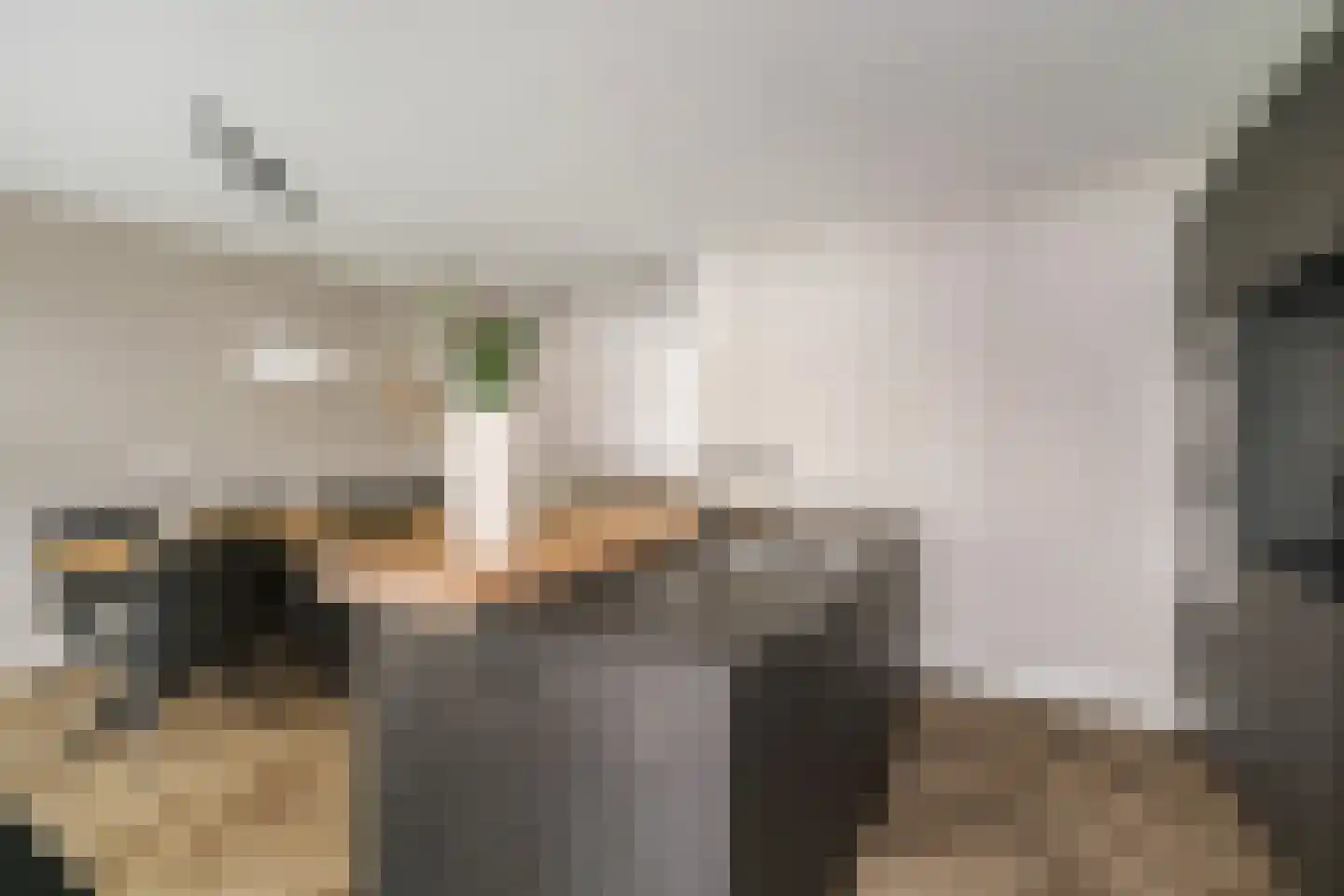 Amer 6 Apeldoorn thumbnail 17